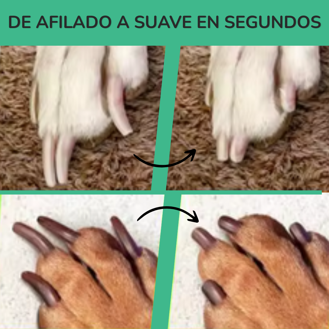 Beampet™ Cortaúñas LED