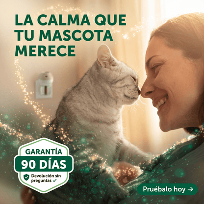 Devuelve la calma a tu hogar
