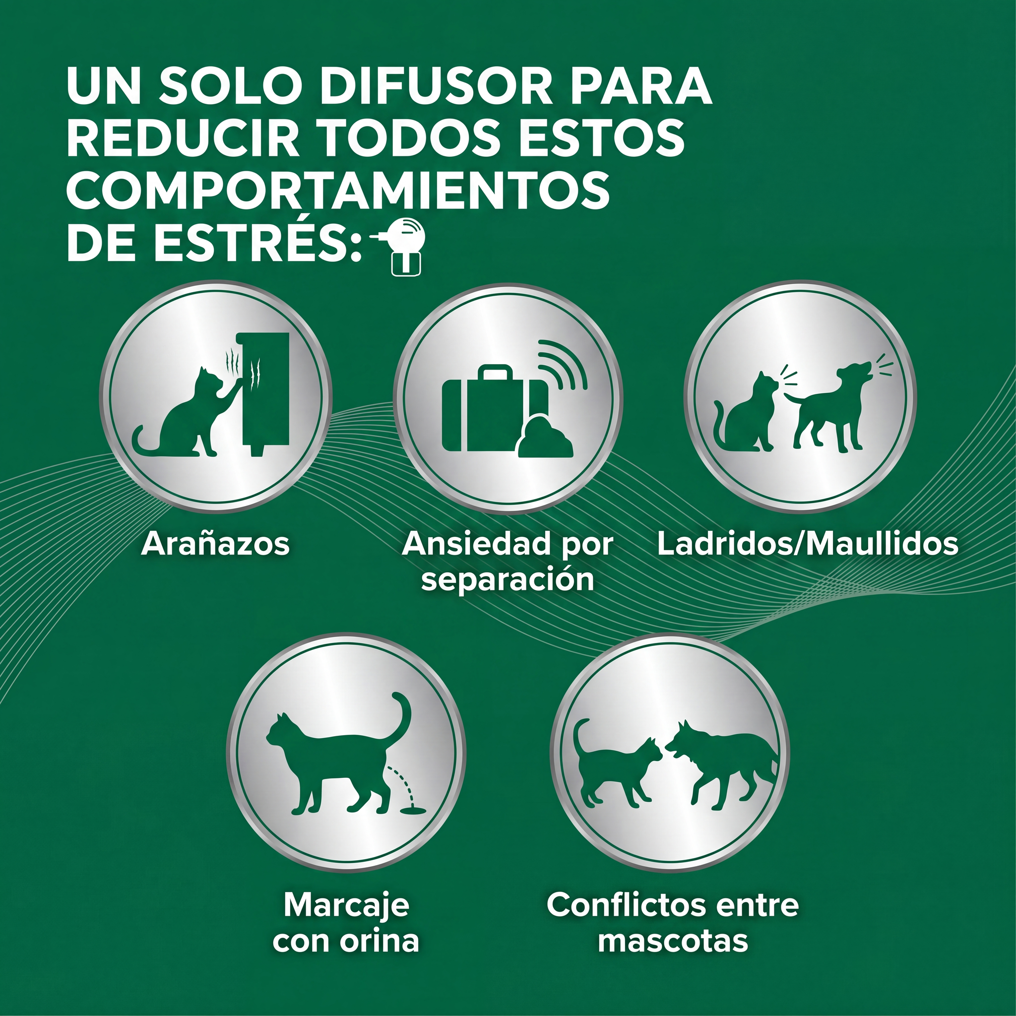 Devuelve la calma a tu hogar