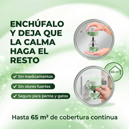Devuelve la calma a tu hogar