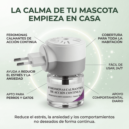 Devuelve la calma a tu hogar